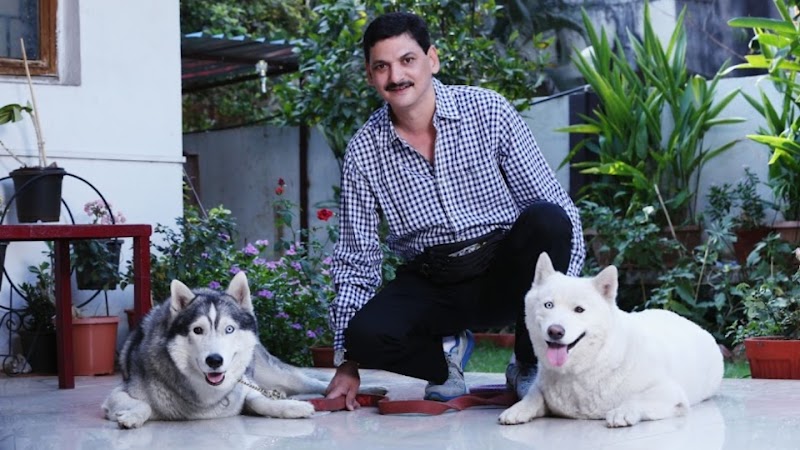 Dhanu's Kennel Dog Training & Rehabilitation- By Shailesh Omkar