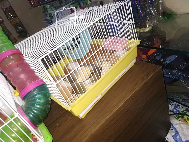 Dharampeth Aquarium and Pet Shop — Photo 2