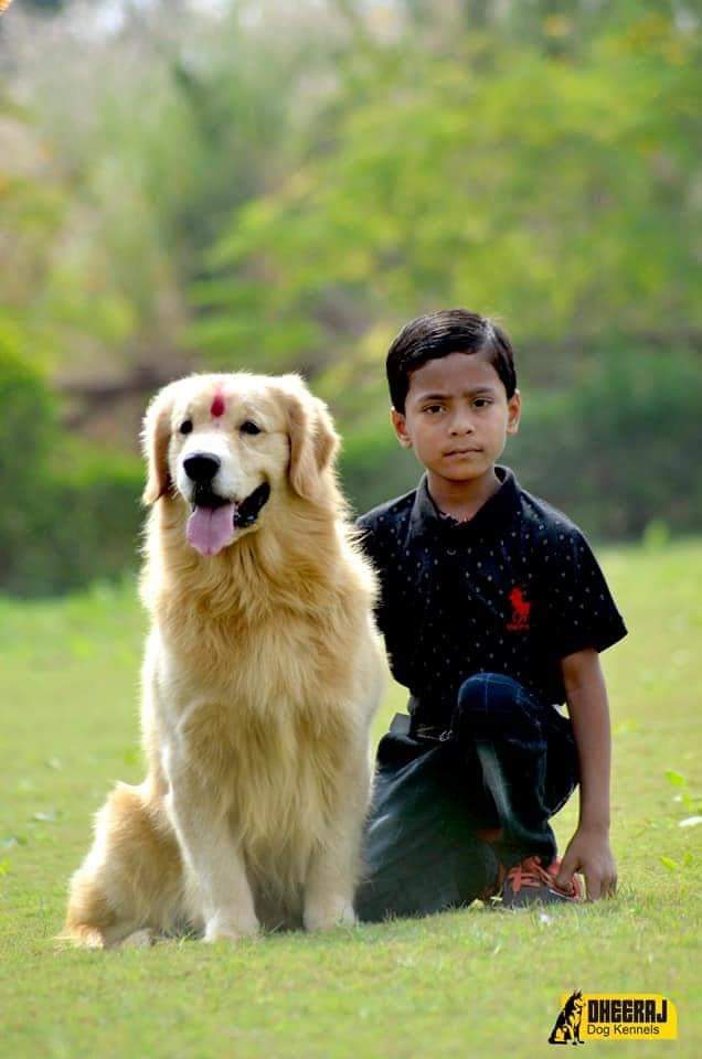 Dheeraj Dog Kennels — Photo 3