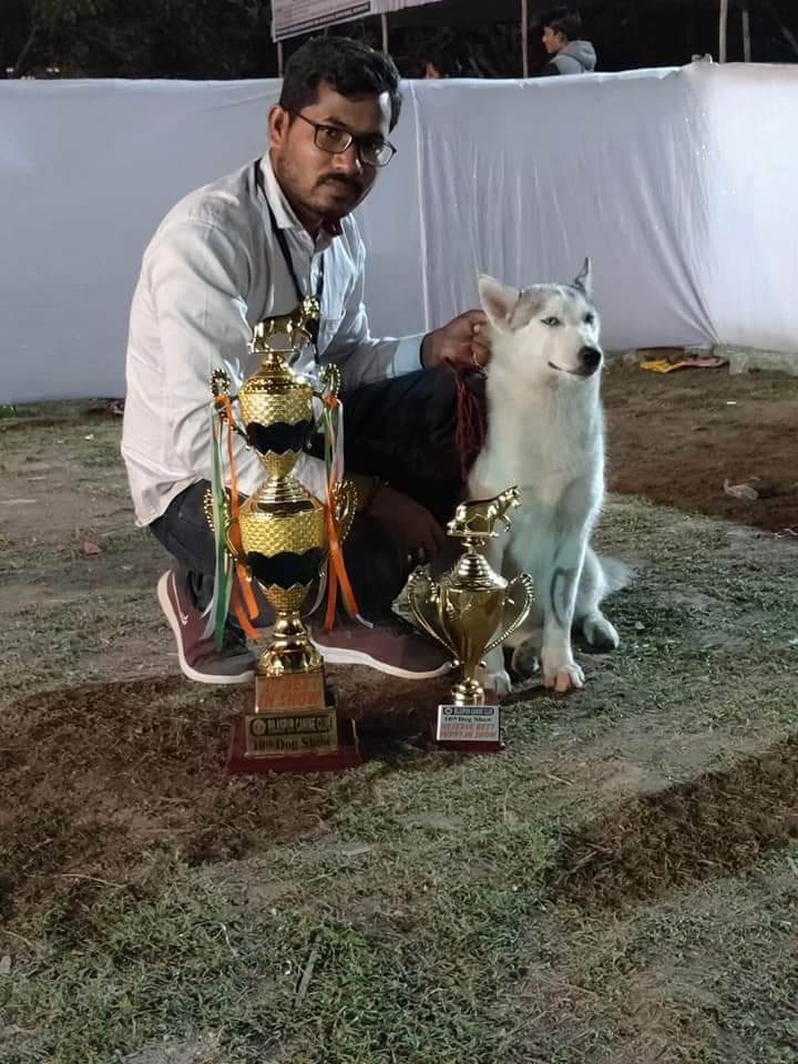 Dheeraj Dog Kennels — Photo 4