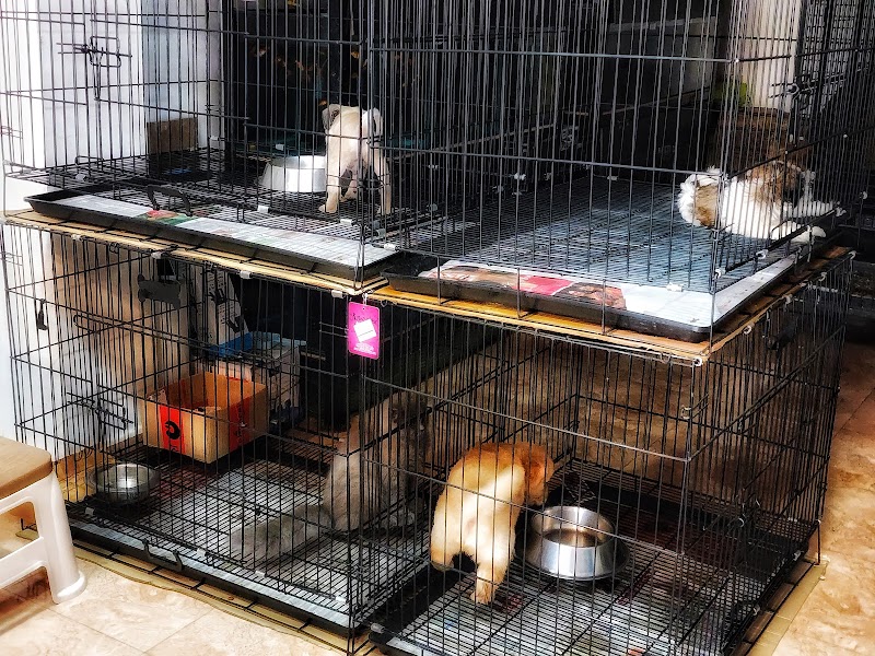 DINESH PET HOUSE — Photo 2