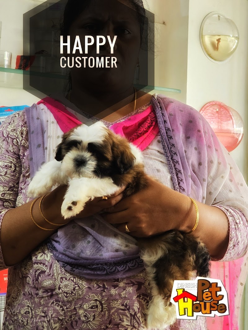 DINESH PET HOUSE — Photo 4