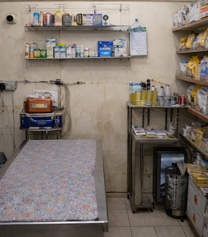 DISTRICT VETERIANRY PET CLINIC