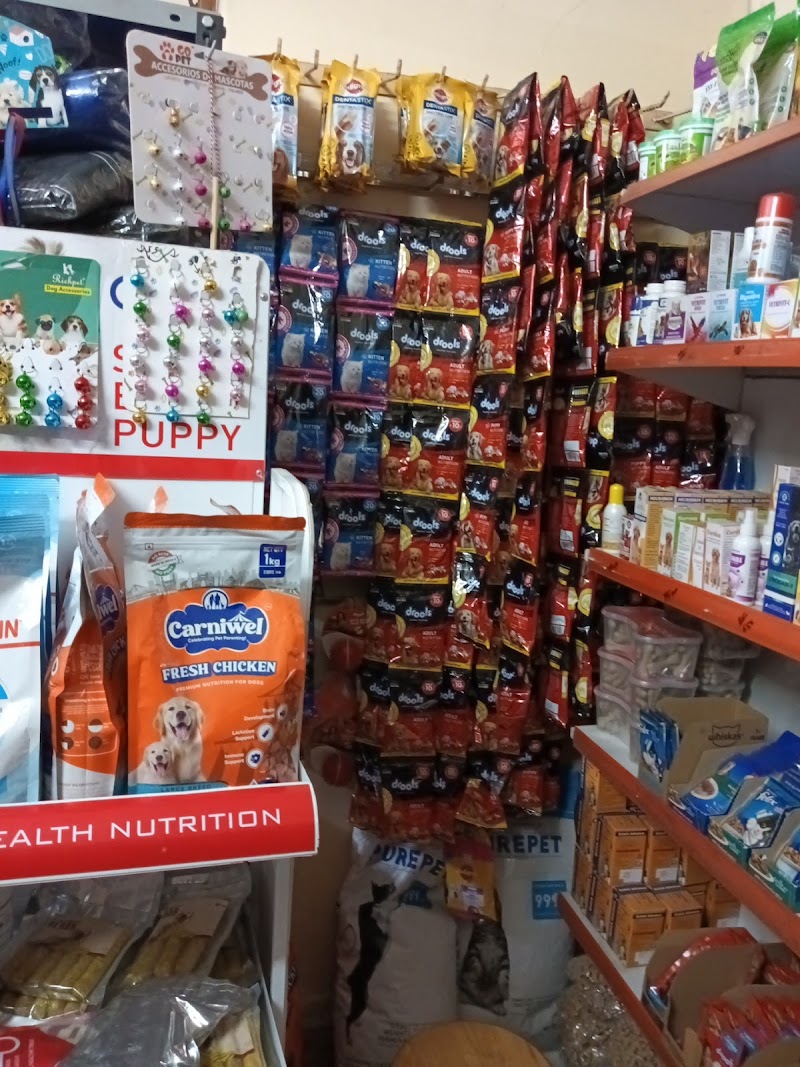 Divine Pet Clinic & Surgery Centre — Photo 2