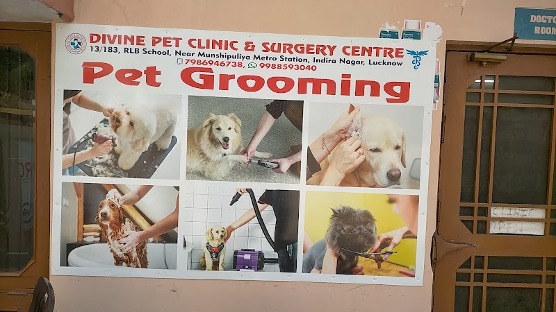 Divine Pet Clinic & Surgery Centre — Photo 3
