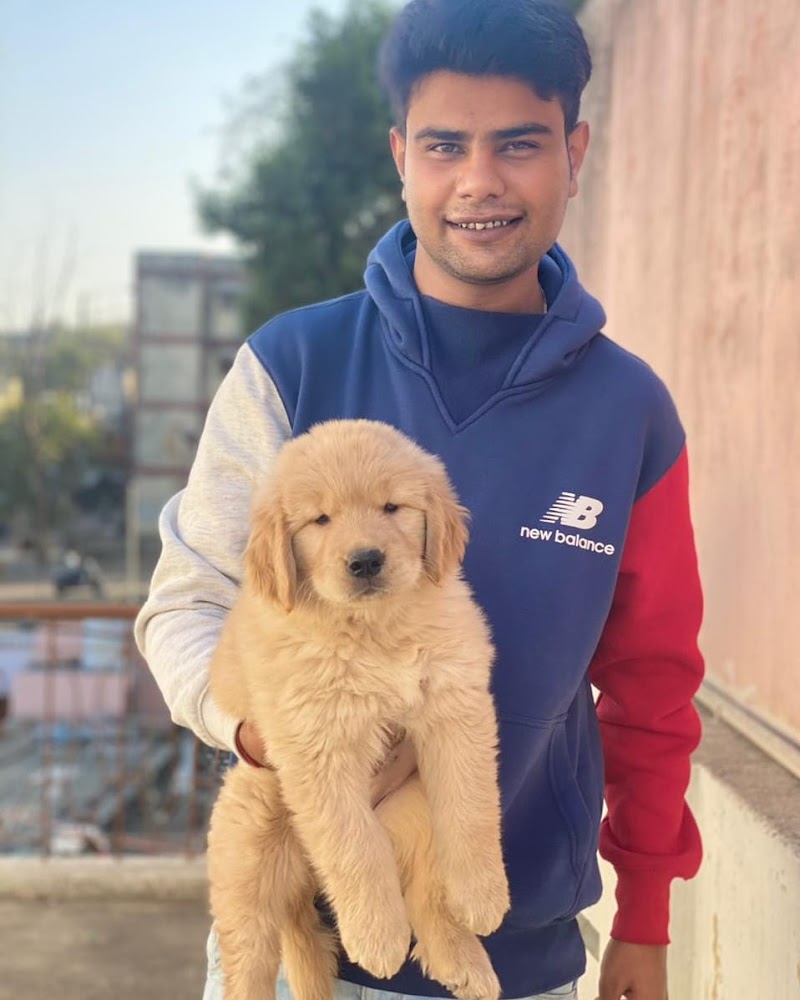 Dodo pet mart — Photo 2