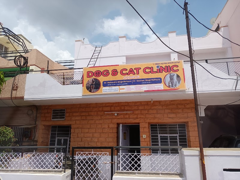 Dog and cat clinic, jodhpur