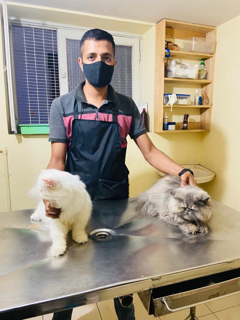 Dog and cat grooming spa mysore — Photo 3