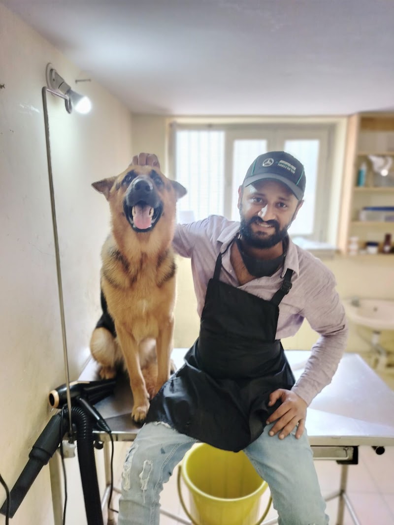 Dog and cat grooming spa mysore — Photo 4