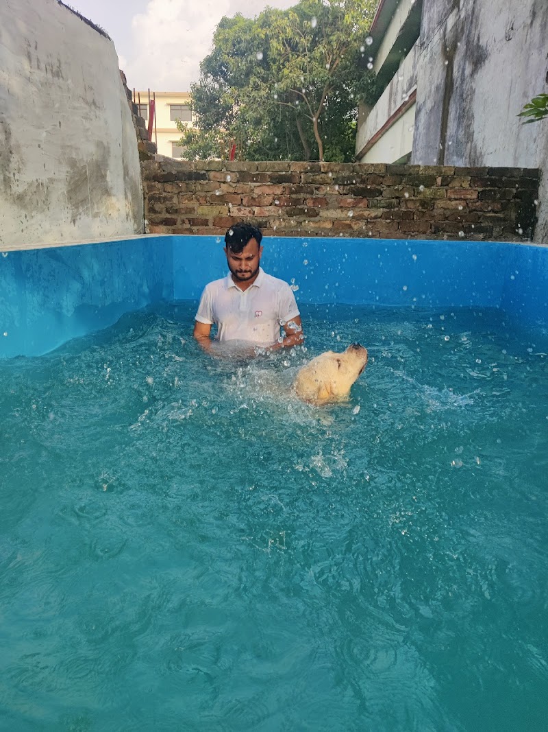 dog boarding and training centre — Photo 4