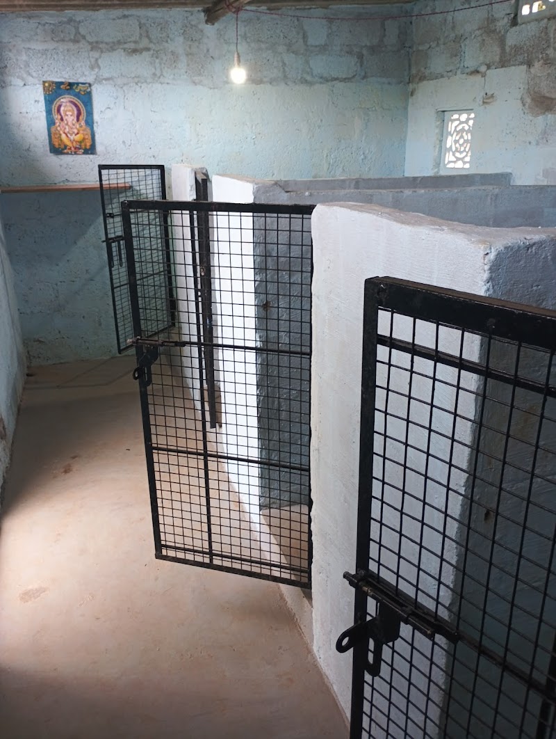 Dog Boarding & Training Centre