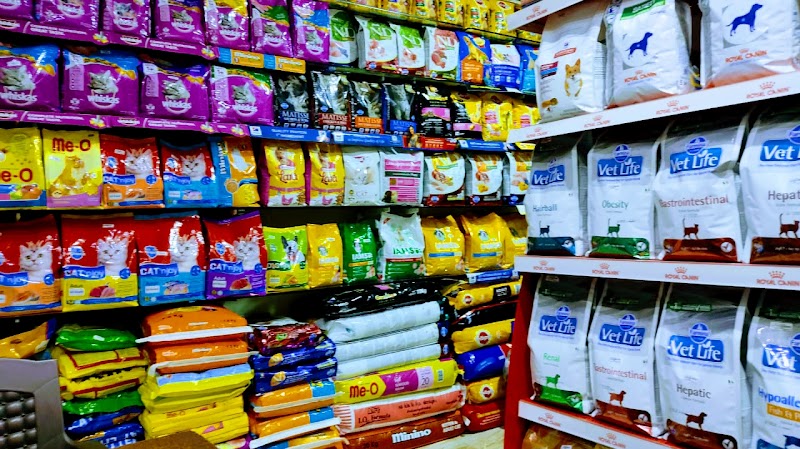 DOG CARE CENTRE- BEST SERVICES IN THANE