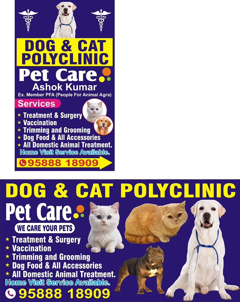 Dog & cat polyclinic