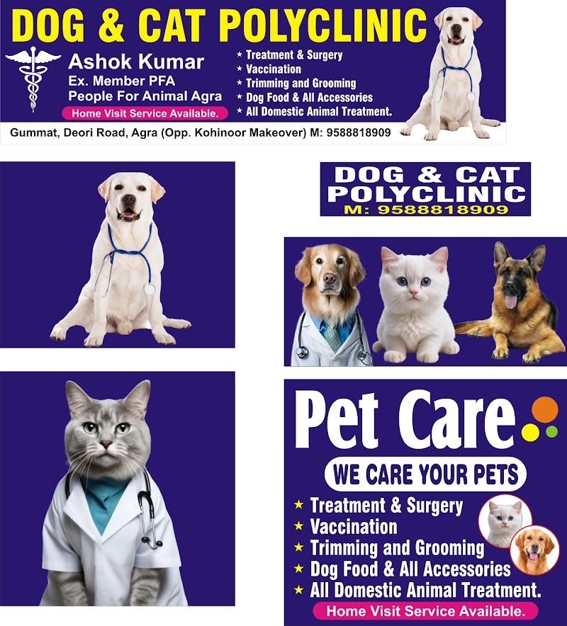 Dog & cat polyclinic — Photo 2