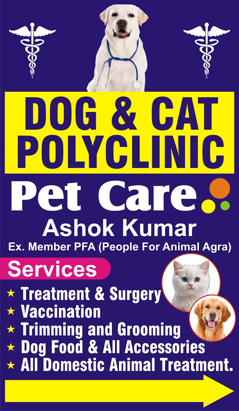 Dog & cat polyclinic — Photo 4