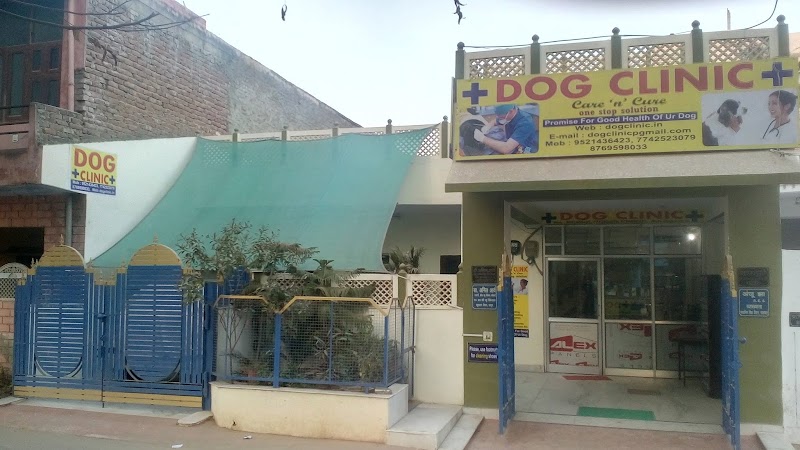Dog Clinic