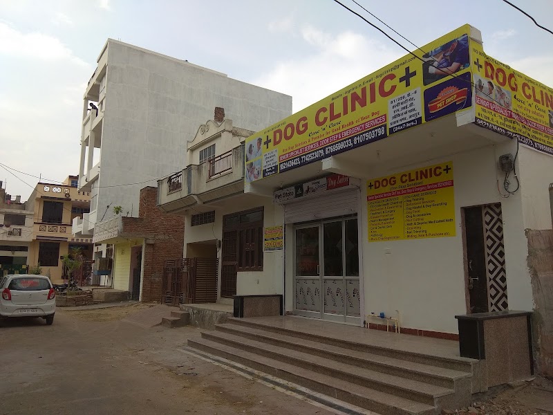 Dog Clinic — Photo 4