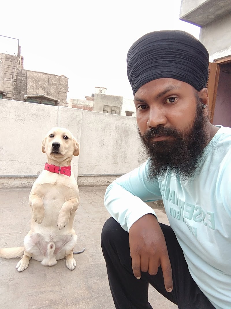 Dog Grooming Center and hostel. — Photo 1