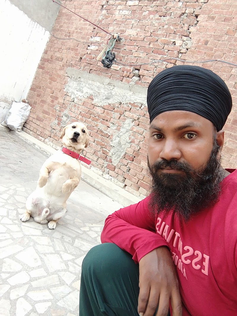 Dog Grooming Center and hostel. — Photo 2