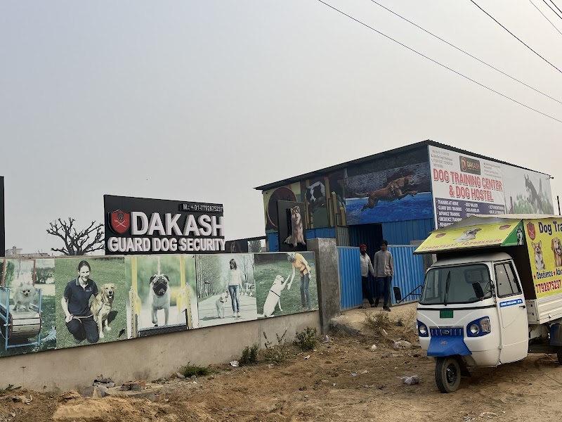 Dog hostal Jaipur — Photo 4