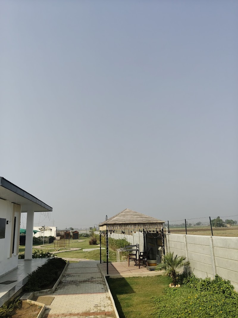 Dog hostel — Photo 2