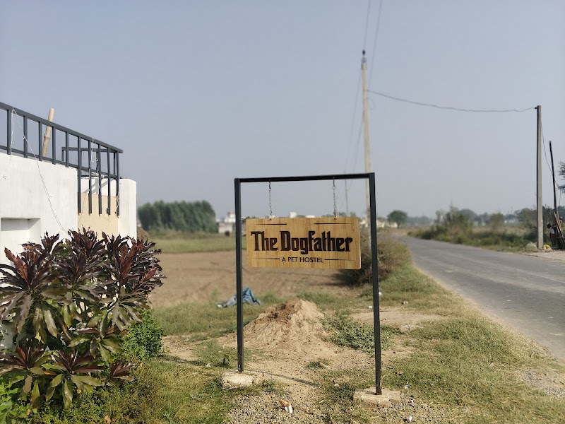 Dog hostel — Photo 3