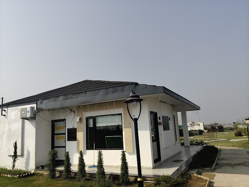 Dog hostel — Photo 4