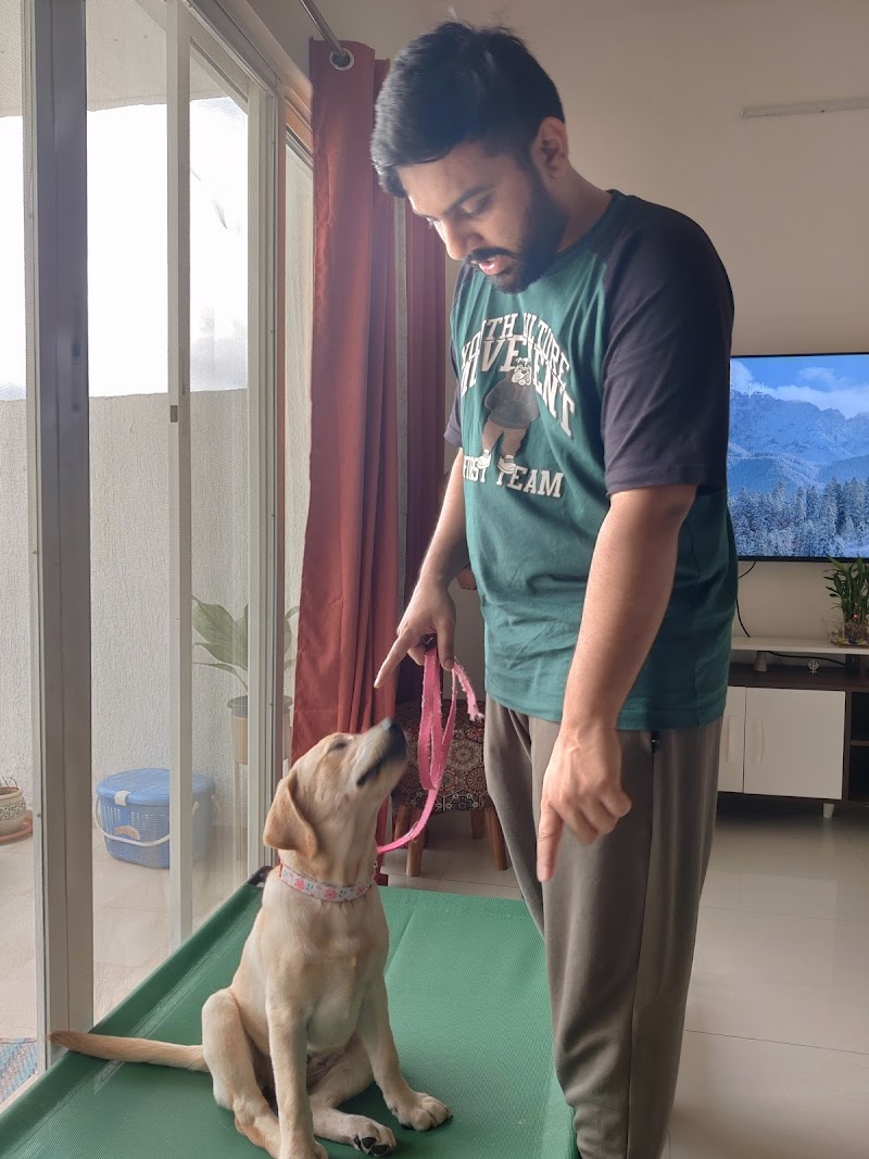 Dog Mantra by Aakash Shukla- Dog whispering, Dog Psychology and training pet parents!