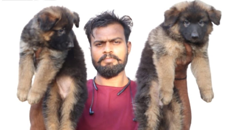 DOG POINT — Photo 1