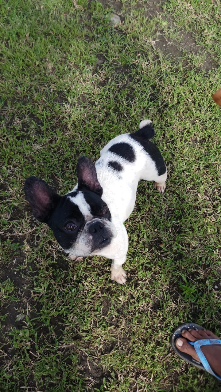 DOG POINT — Photo 2