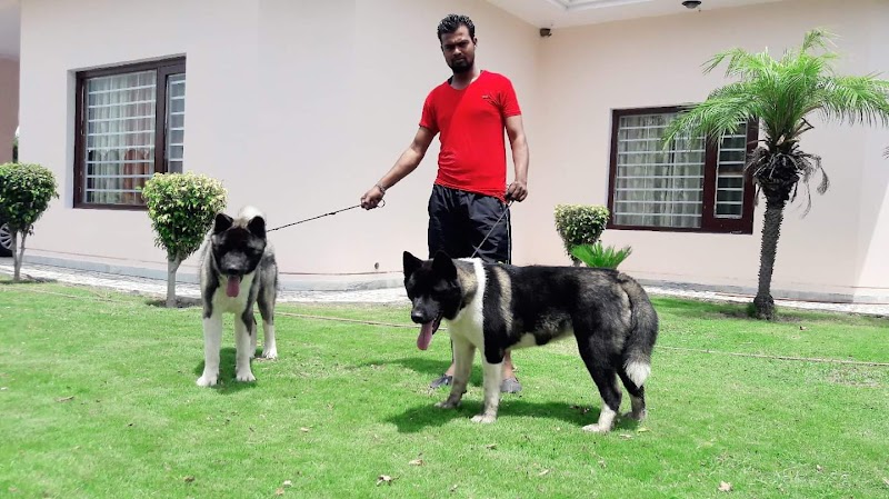 DOG POINT — Photo 4