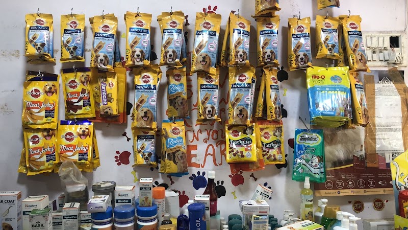 Dog Shop India (also provides cat stay)