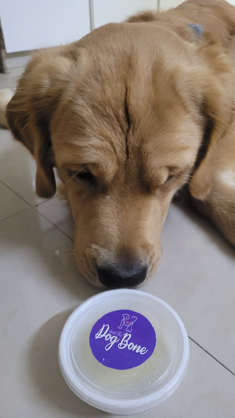 Dog & The Bone — Photo 4