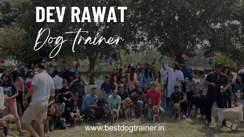Dog Trainer in Noida - Dev Rawat