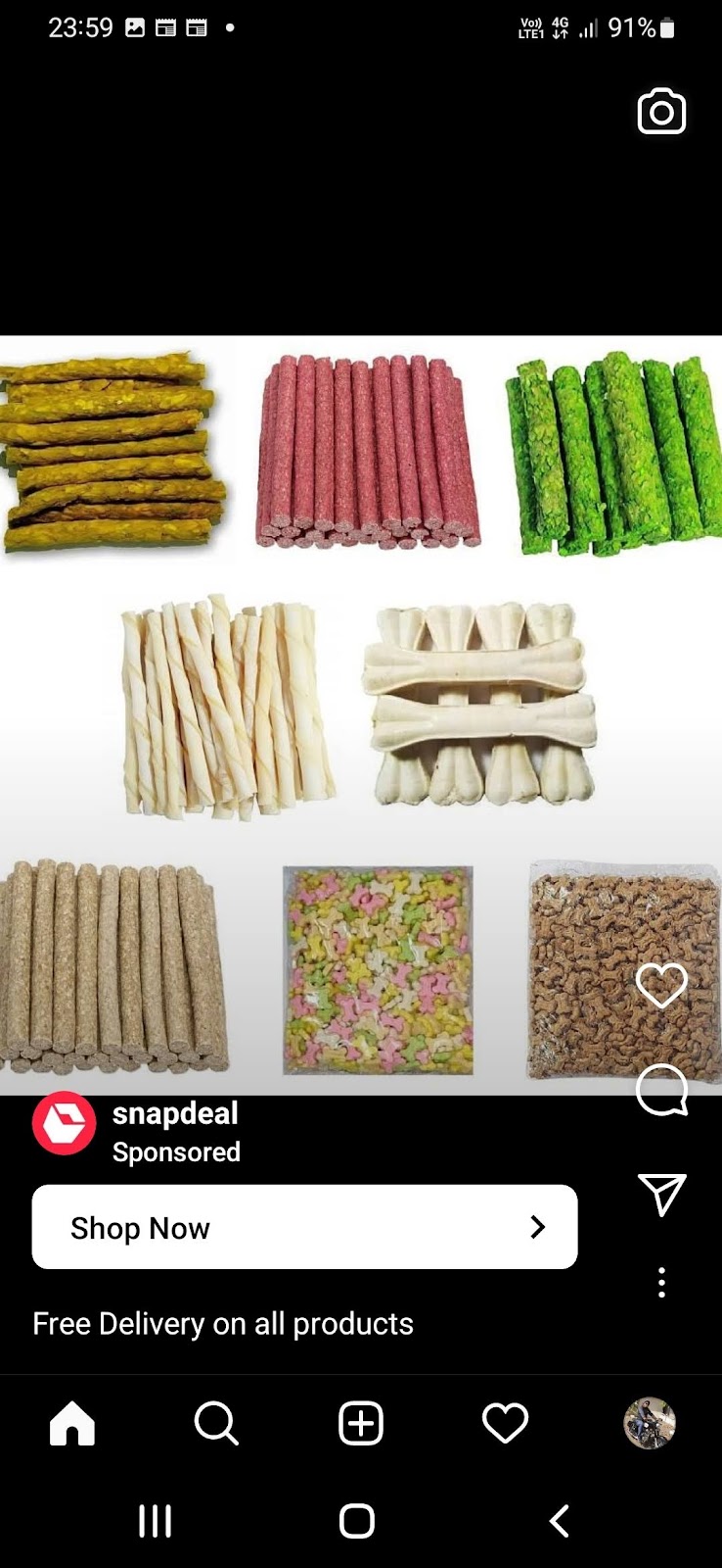 Dog Trainer Mr. Rajubhai — Photo 3