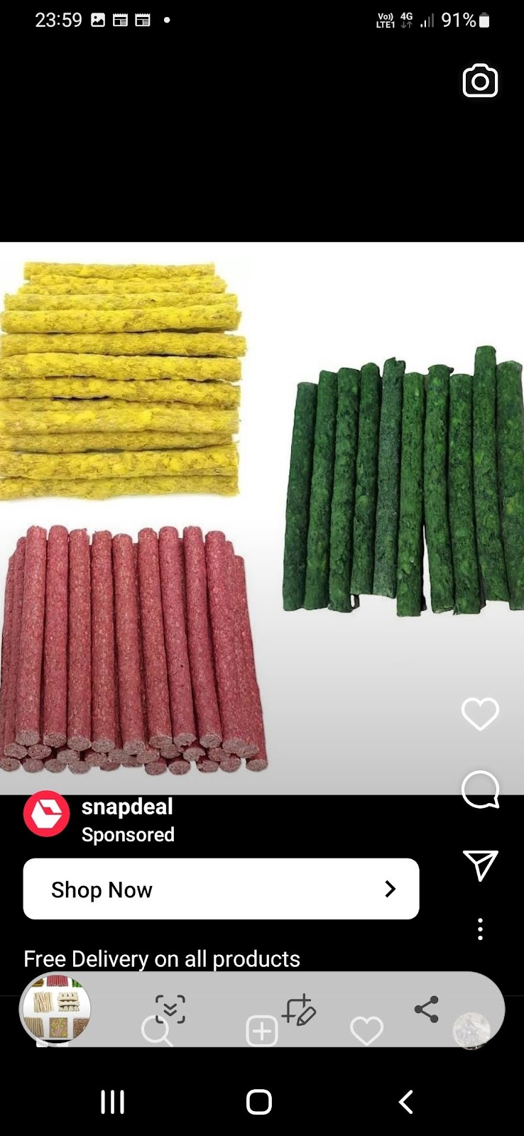 Dog Trainer Mr. Rajubhai — Photo 4