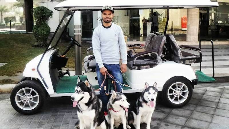 Dog Trainer Noida Pardeep Kumar