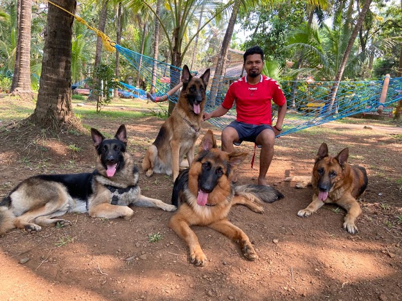 Dog Trainer - Sachin Sorte