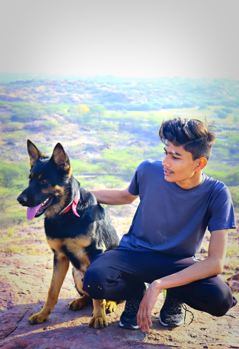 Dog training and hostel