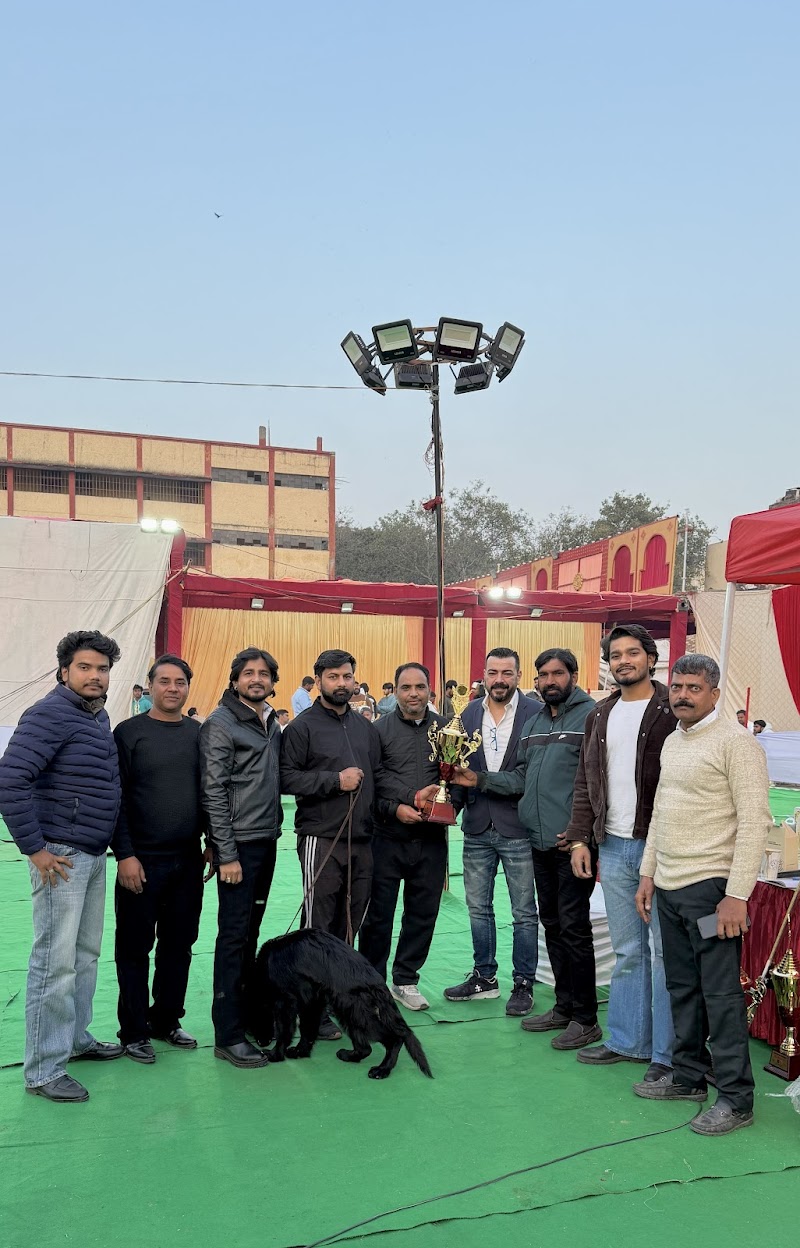 Dog Training and walking centre