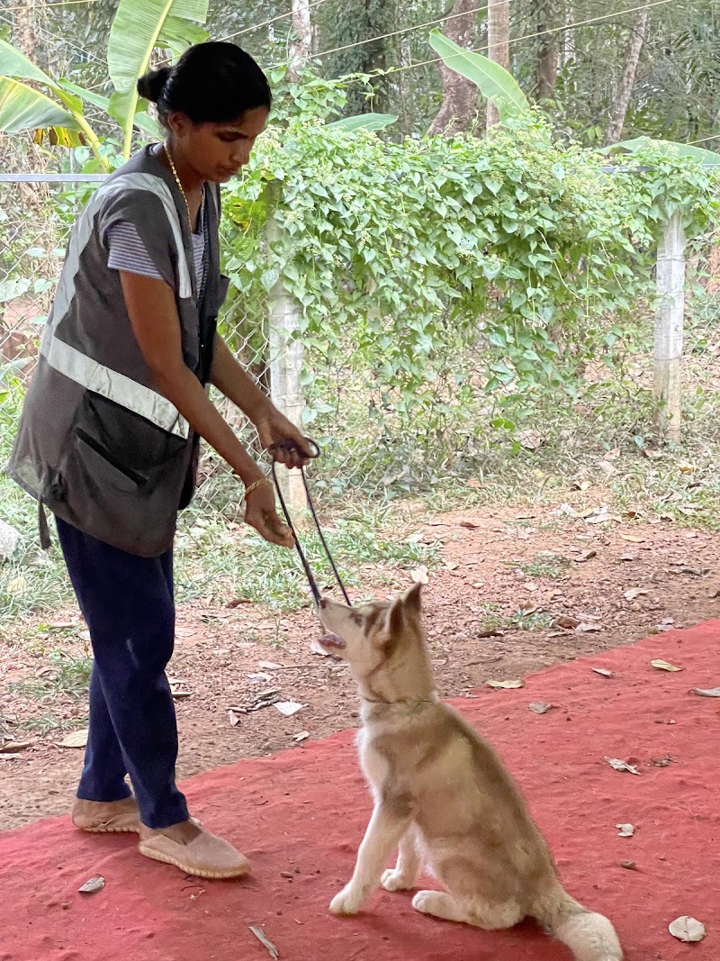 Dog Training Centre Hamsters