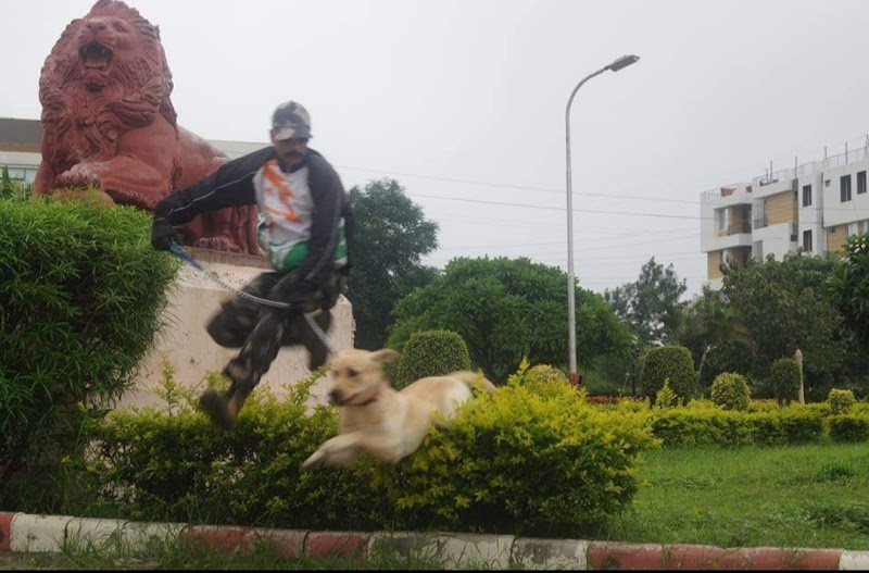 Dog Training Indore Nachan — Photo 3