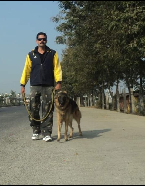 Dog Training Indore Nachan — Photo 4