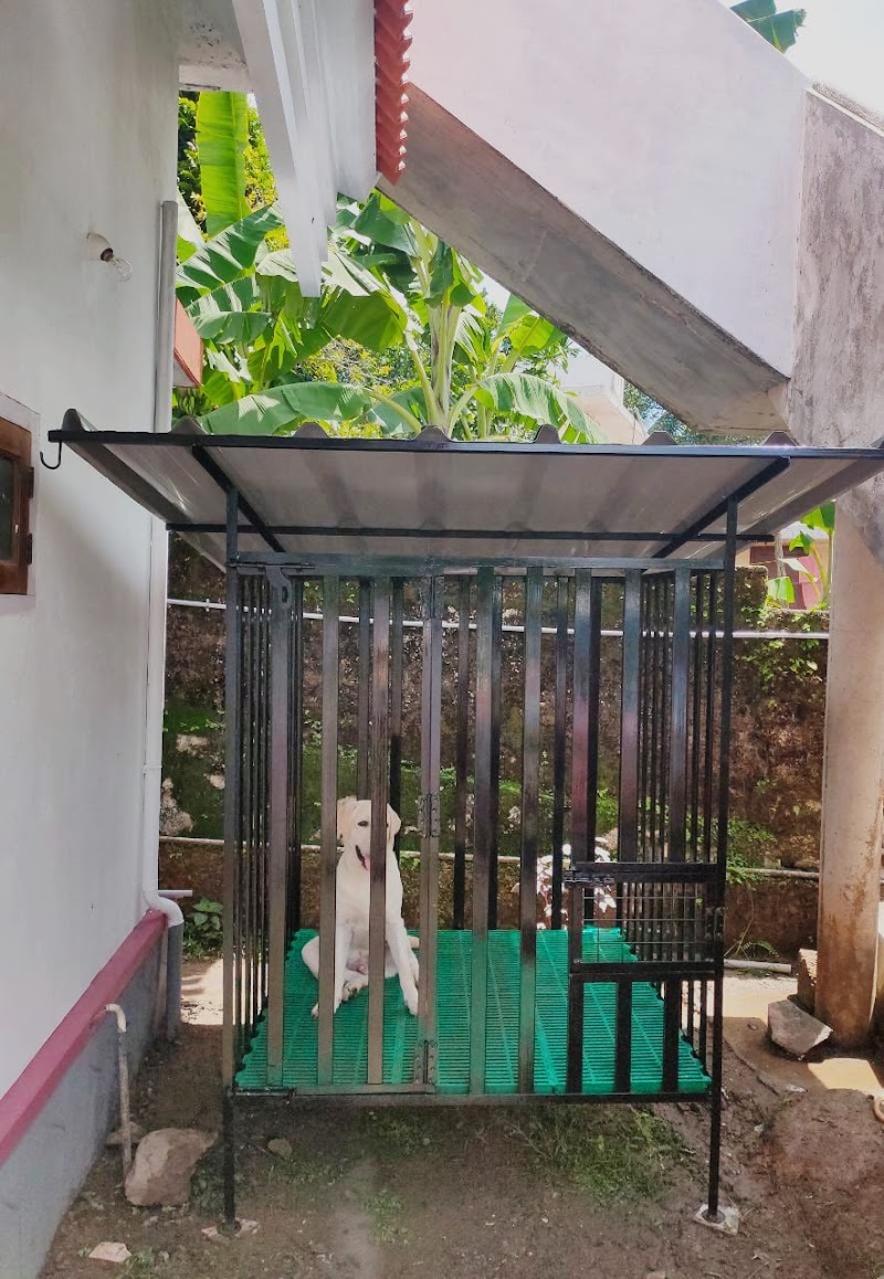 Dog Training Suraksha — Photo 2