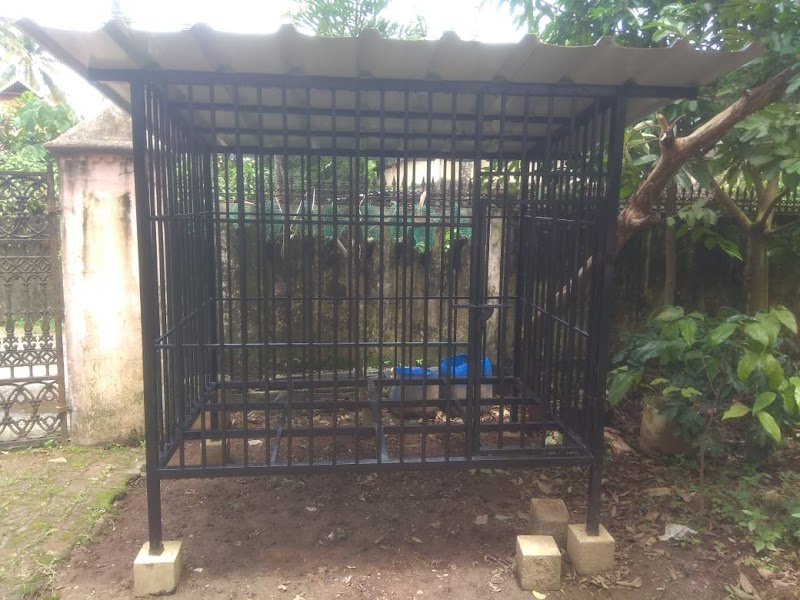 Dog Training Suraksha — Photo 4