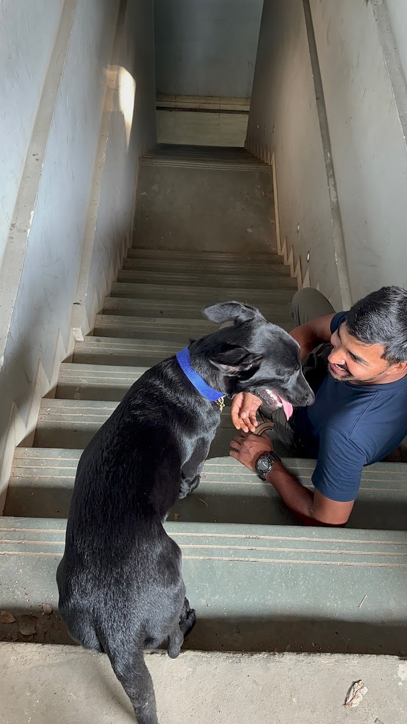 Dog training with Mohit Kumar — Photo 3