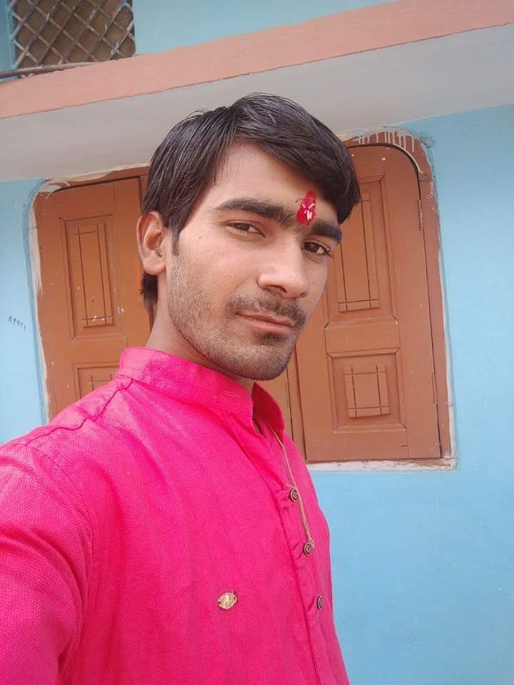 dog Walker — Photo 2