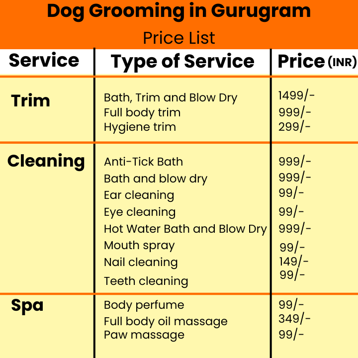 Dog Walking and Grooming Services by Sploot - Gurugram (Sector 45) — Photo 2