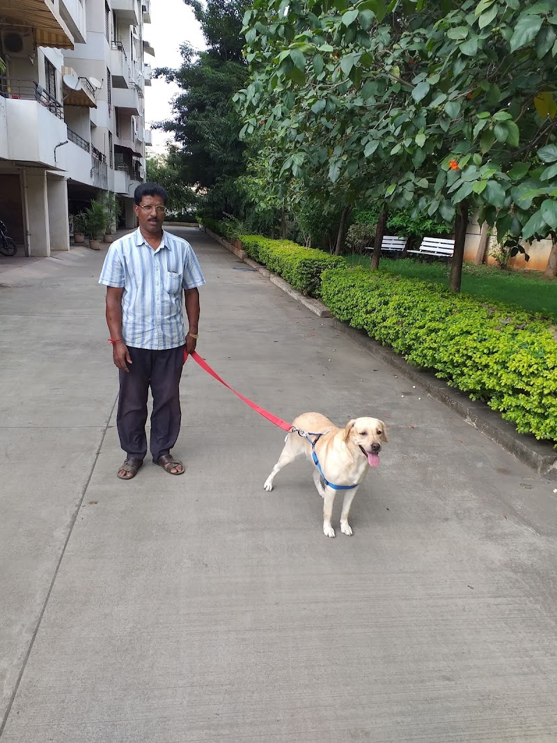 Dog Walking and Training in Pune