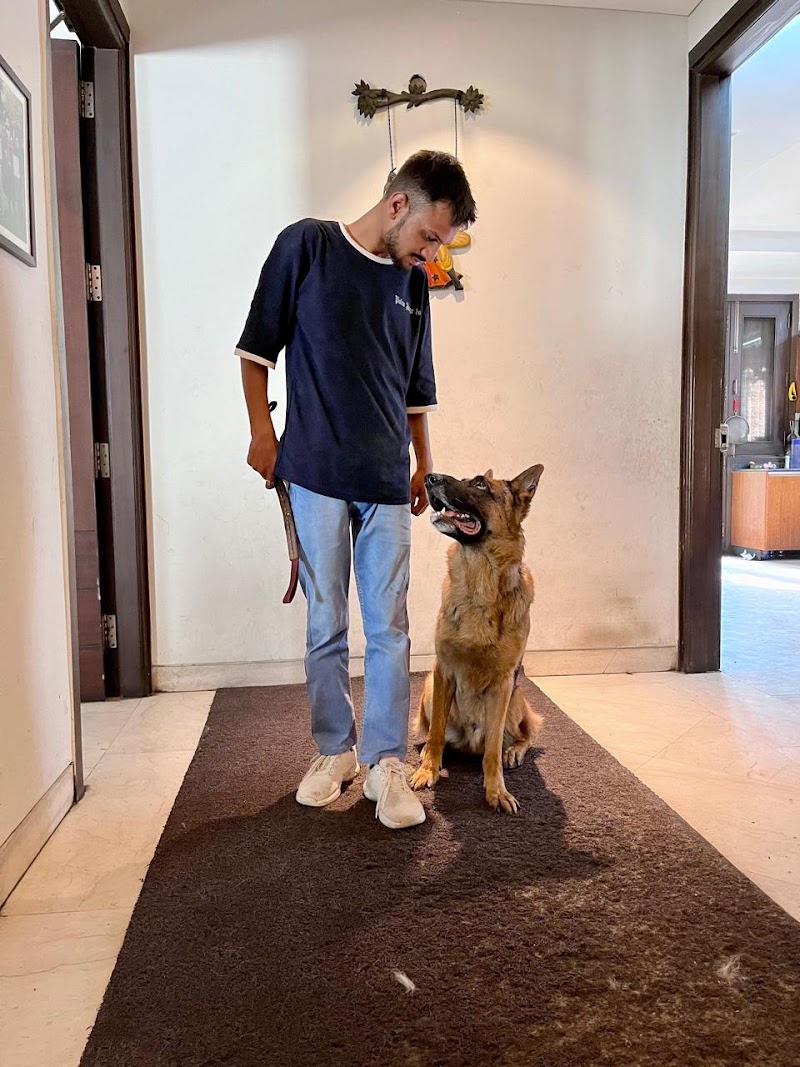 Dog Walking & Grooming By Rahul